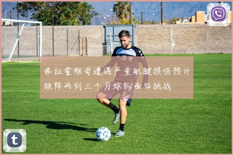 弗拉霍维奇遭遇严重肌腱损伤预计缺阵两到三个月球队面临挑战