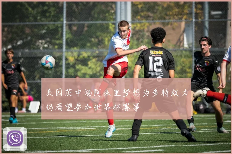 美因茨中场阿米里梦想为多特效力仍渴望参加世界杯赛事